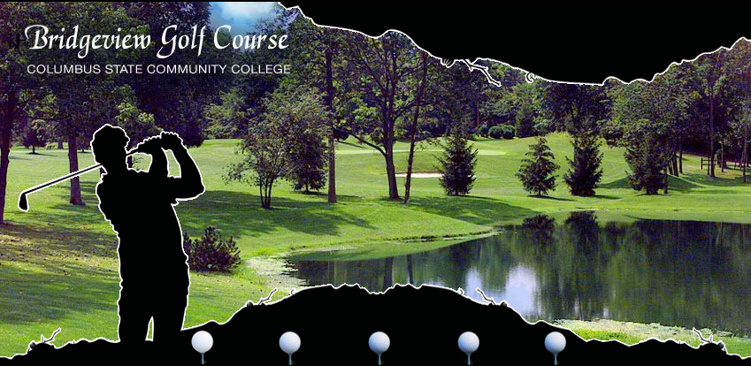 Bridgeview Golf Webpage Layout
